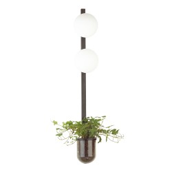 Настенный светильник ODEON LIGHT FLOWER 4681/2WA