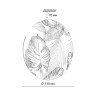 Настенно-потолочный светильник СОНЕКС FLORI 7748/CL