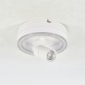 Escada 20044SMA/01 LED 20W 4000K белый