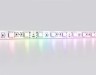 Ambrella Light Светодиодная лента RGB GS2202 5050 60Led /14.4 12V IP20 RGB GS GS2202