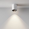 Maytoni Потолочный светильник Alfa LED 4000К 12Вт 60°