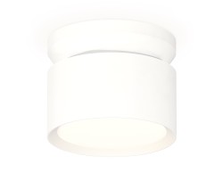 Ambrella Light Потолочный светильник XS8101045