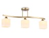 Ambrella Light Люстра потолочная Modern TR303121