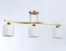 Ambrella Light Люстра потолочная Modern TR303121