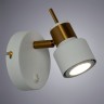 Спот Arte Lamp ALMACH