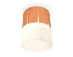 Ambrella Light Потолочный светильник XS8122011