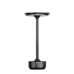 Настольная лампа ODEON LIGHT TET-A-TET 5034/6TL