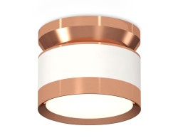 Ambrella Light Потолочный светильник XS8101065