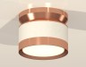 Ambrella Light Потолочный светильник XS8101065