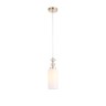 Подвесной светильник ST Luce Elegra SL1402.253.01