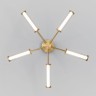 Потолочный светодиодный светильник                      Eurosvet  50386/5 LED латунь