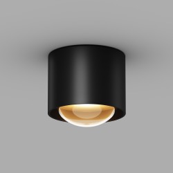 Maytoni Потолочный светильник Lumina