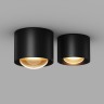 Maytoni Потолочный светильник Lumina