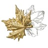 Настенный светильник ODEON LIGHT EVA 4371/6WL