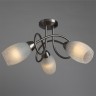 Потолочная люстра Arte Lamp MUTTI