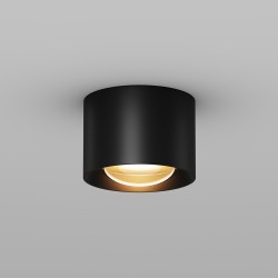 Maytoni Потолочный светильник Lumina