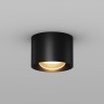 Maytoni Потолочный светильник Lumina