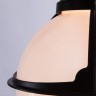Уличный подвесной светильник Arte Lamp MONACO