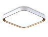 Ambrella Light Светильник потолочный светодиодный FZ FZ1259