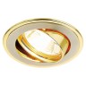 Ambrella Light Встраиваемый светильник Organic Spot 104A SN/G