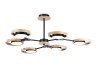 Ambrella Light Люстра на штанге Line FL51619