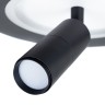 Спот Arte Lamp TOMMY