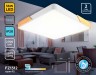 Ambrella Light Светильник потолочный Design FZ1312