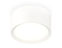 Ambrella Light Потолочный светильник XS8101001