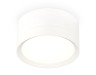 Ambrella Light Потолочный светильник XS8101001