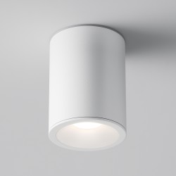 Maytoni Потолочный светильник Zoom GU10 1x10Вт IP 65