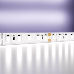 Maytoni Светодиодная лента 24В 2835 14,4Вт/м 6000K 5м IP20