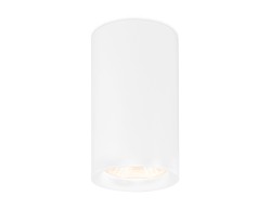 Ambrella Light Светильник потолочный Cup TN213133