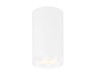 Ambrella Light Светильник потолочный Cup TN213133