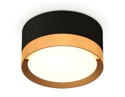 Ambrella Light Потолочный светильник XS8102004