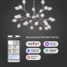Умная подвесная люстра со стеклянными плафонами                      Bogate's  546 Smart