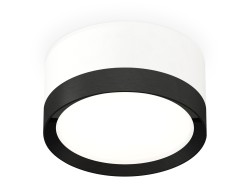 Ambrella Light Потолочный светильник XS8101002