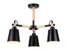 Ambrella Light Люстра на штанге TRADITIONAL TR82206