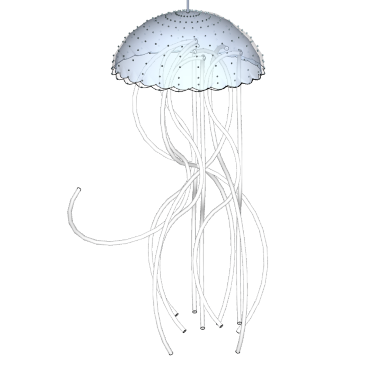 Light Star 1601300804