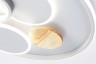 Ambrella Light Люстра потолочная светодиодная COMFORT FL4803
