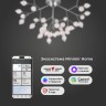 Умная потолочная люстра серебряного цвета                      Bogate's  548 Smart