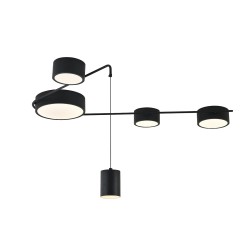 Indigo Потолочный светильник 14028/5С Black