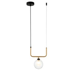 Indigo Подвесной светильник 11021/1P Clear