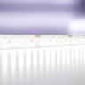 Maytoni Светодиодная лента 24В 2835 20Вт/м 6000K 5м IP65