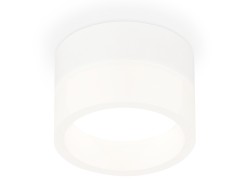 Ambrella Light Потолочный светильник XS8101015