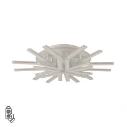 Потолочный светильник LUMION ALBERTA 8029/95CL