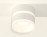 Ambrella Light Потолочный светильник XS8101019
