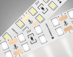 Ambrella Light Светодиодная лента GS3602 2835 204Led 20W 24V IP20 4500K GS GS3602