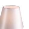 Настольная лампа ST Luce Opalus SL1403.304.01