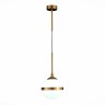 Подвесной светильник ST Luce Arbe SL1157.303.01