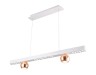 Ambrella Light Светильник подвесной светодиодный LineTech FL5955
